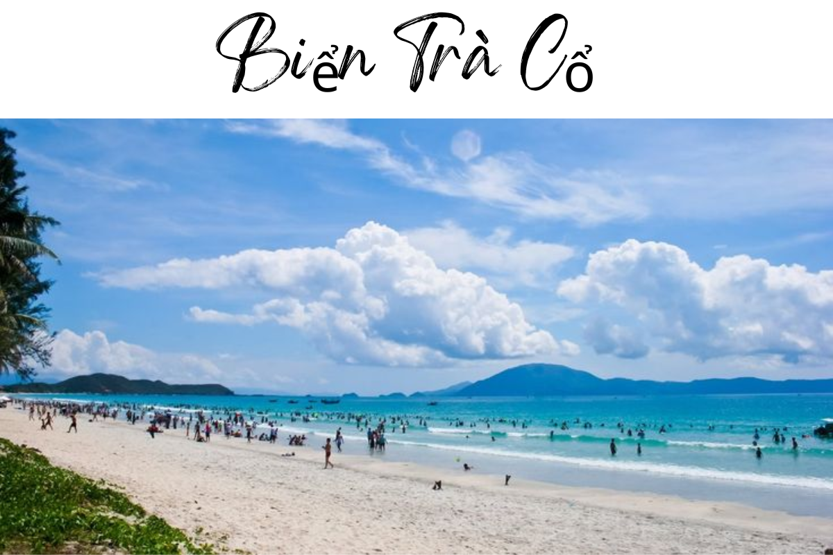 Bãi biển Trà Cổ