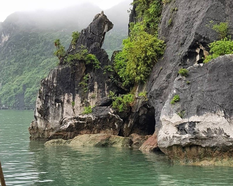 hòn Chó Đá, Hạ Long