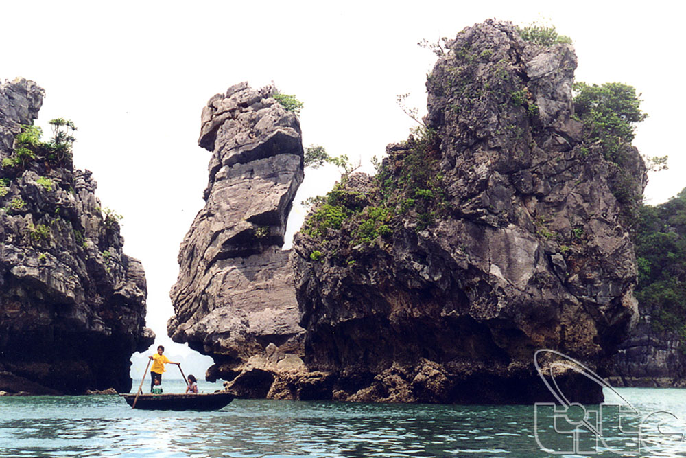 Hòn Thiên Nga