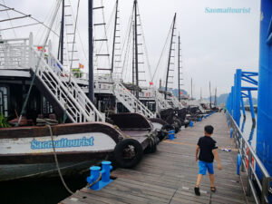 Tour Tham Quan Vịnh Hạ Long Tuyến 1 (4 Tiếng)